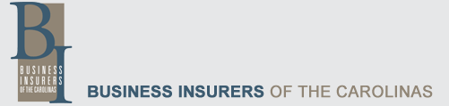 Business Insurers of the Carolinas